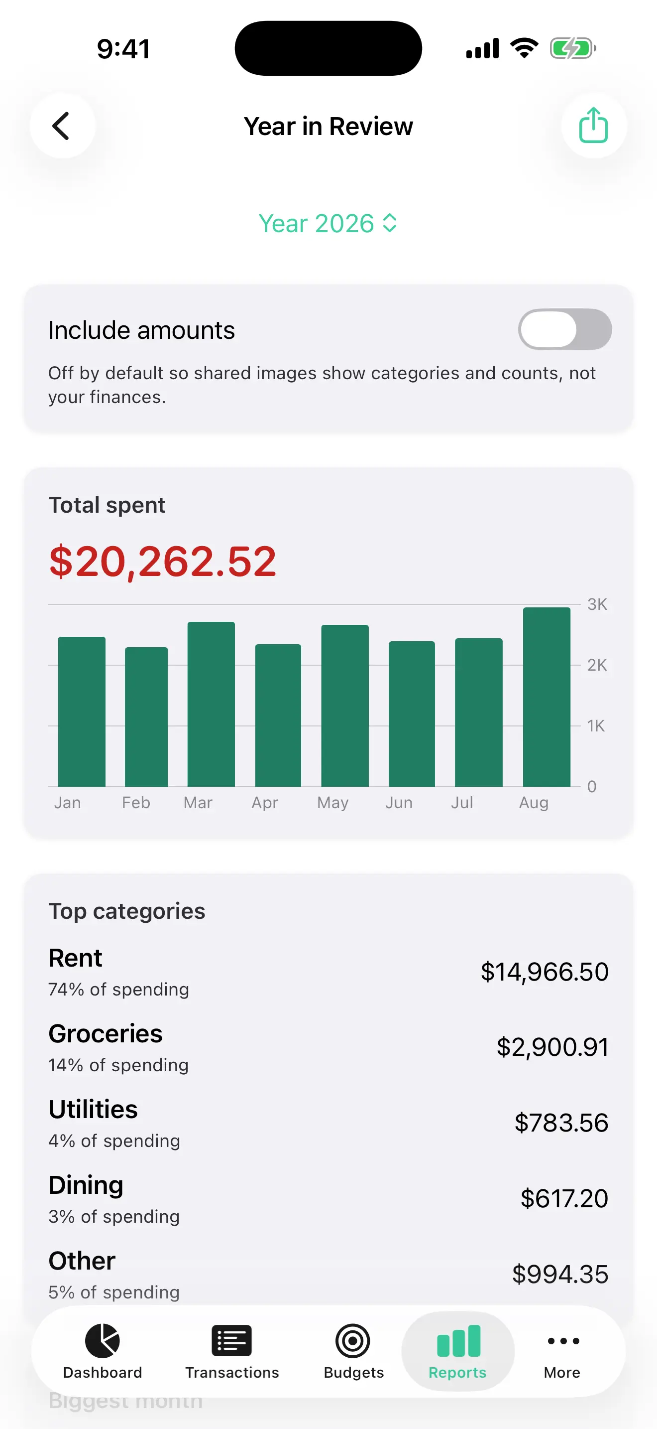 Vittora Year in Review on iPhone